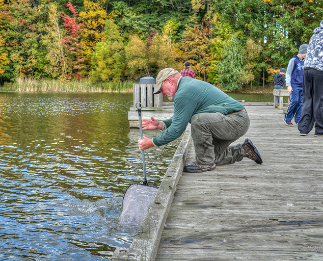 Trout Stocking at Lake Metroparks Lake Metroparks